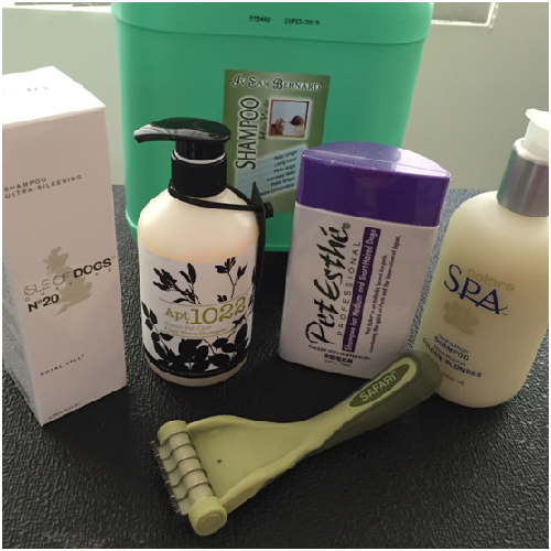 寵物美容產品的精進，讓毛孩在家裡就可以泡湯、做SPA。