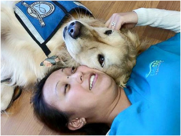 有人說，治療犬的療癒效果就如同在辦公室裡擺放一隻絨毛動物玩偶，你認同嗎? 取自Pediatric Dentistry of Northbrook