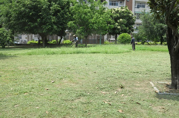 登革熱流行期間，公園工作人員忙著剪除過長的草，以減少窩藏病媒蚊。 蕭士塔/攝