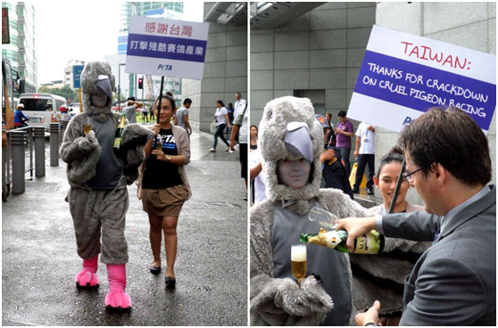 PETA Asia志工在中華民國駐菲代表處前舉行慶祝與感謝行動。　PETA Asia/提供