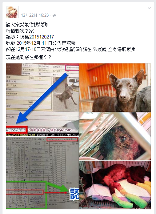 意外事故發生後，網路上傳出有受傷犬隻死亡和失蹤的訊息，但都不見新北動保處對外說明，失職調查也尚未結案，啟人疑竇。　  取自網路