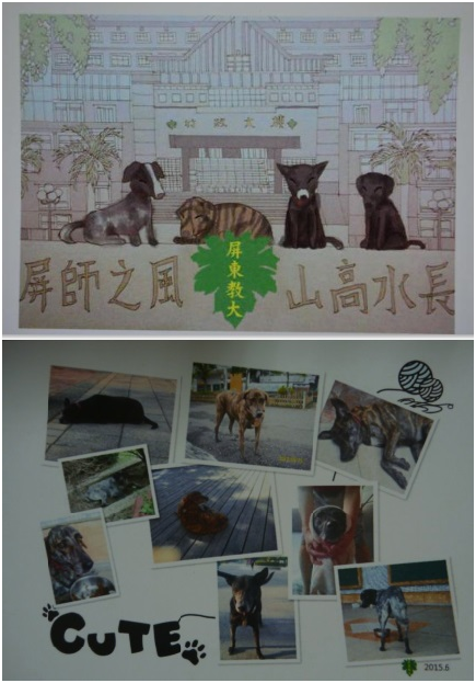 校犬們會陪夜歸的學生走回宿舍。同學也為了籌募照料校犬的基金，花心思設計這套校犬明信片，在今年畢業典禮前夕進行義賣，才推出就搶購一空。　瑭芯/翻拍