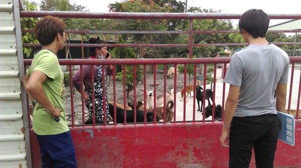 田愛媽狗場現在由新北市動保處「遠距監控」，執行方式是屏東縣防治所不定時突擊檢查，再把照片和文字記錄傳給新北市動保處。  新北市動保處/提供