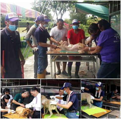 社會勞動人的一日志工服務活動，同時宣導「不侵犯、不虐待、不棄養」及「要尊重、要愛護、要保護」的三不三要觀念，進行生命教育。  瑭芯/攝