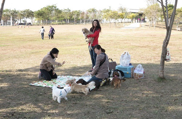 許多民眾帶著毛小孩徜徉於都會公園廣大草原。　蕭士塔/攝