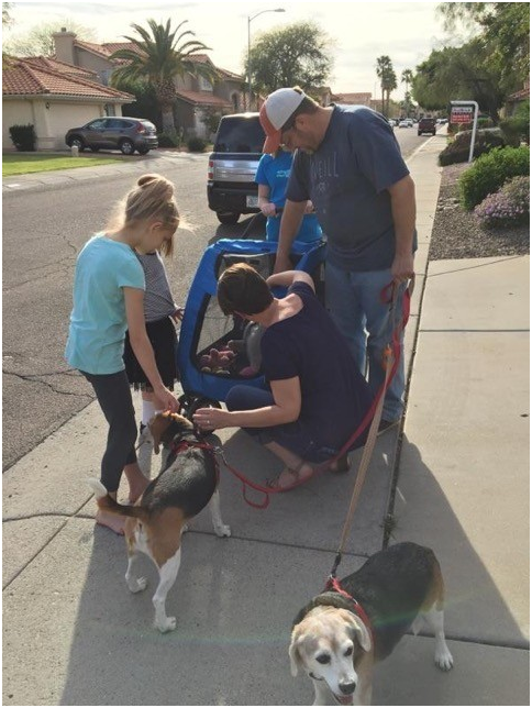 奇奇在新家中有兩隻米格魯友伴，牠們也都很歡迎奇奇的加入。取自ARME官網