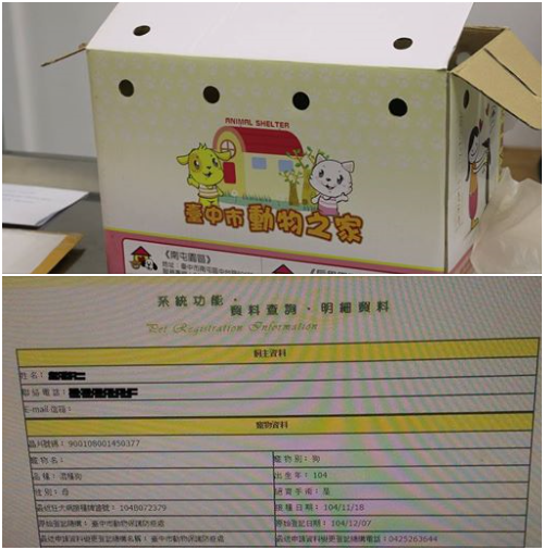 小黑妹妹連同印有台中市動物之家的紙箱，真的是「原箱不動」地被丟包在東海大學校門口。林棠棣/攝