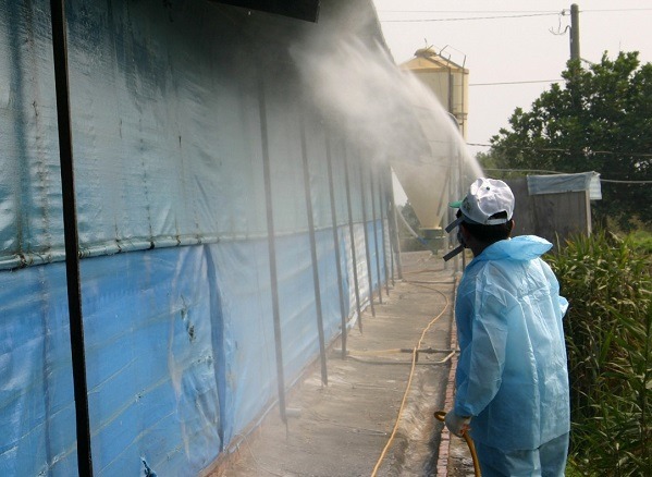 家禽飼養業者加強禽場四周及內外衛生消毒。  蕭士塔/攝