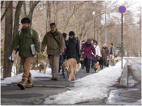 啄木鳥帶領飼主和狗兒一同散步的教育活動，沿途解釋黑熊容易出沒的環境、路線、時期和原因。 取自輕井澤黑熊日記