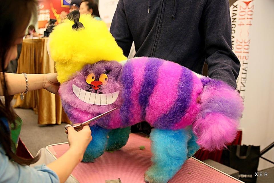 取自Doggieplus Ray臉書