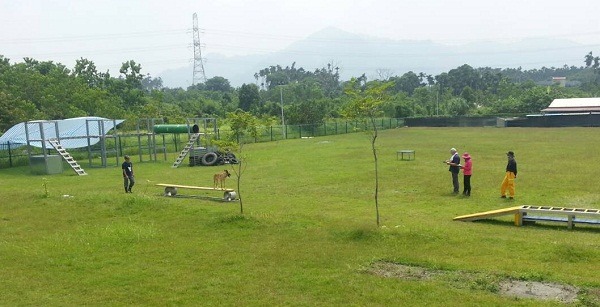 全國災害搜救犬IRO國際評量檢測，36組只有17組過關。  曾大年/攝