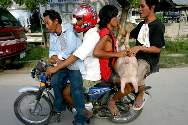 因為我不會流汗，這樣其實有點熱又有點擠。可以幫我裝冷氣嗎？ 取自Photo Credit: Paul Lewin