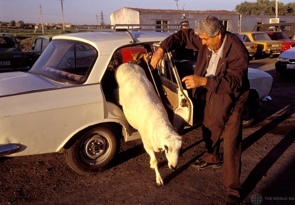 對嘛！想帶我出門就要好好照顧我啊！ 取自Photo Credit: World Bank Photo Collection