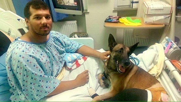 在阿富汗受傷的美國軍犬Rocky和控犬員Brown，一起被運送回美國救治，還住在同病房。 取自網路