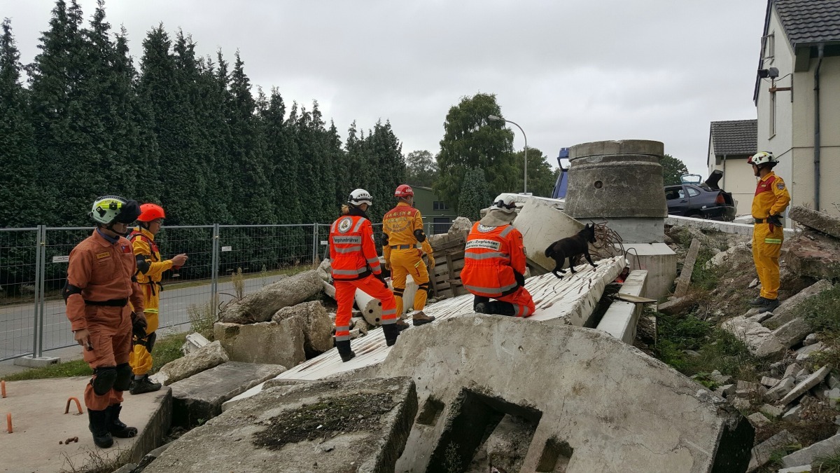 歐洲國家因為使用工作犬數量大,在犬隻訓練競賽領域中的表現優異。 周聰吉/提供
