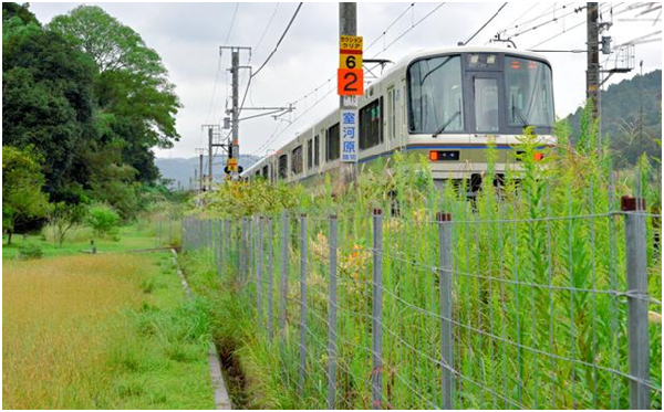 JR西日本鐵路沿線設置的防護欄。 取自朝日新聞
