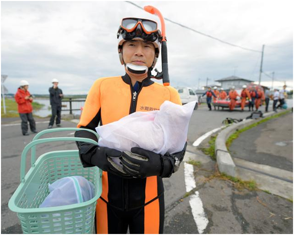 水難救助隊員將貓咪裝在洗衣袋救出的照片，成為這場水災中的溫馨小插曲。 取自朝日新聞