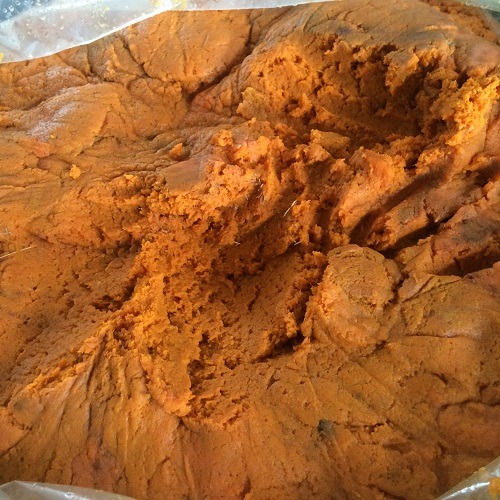 取自果汁生產工廠的葫蘿蔔果渣，可製成具特殊果香、口感佳的乳牛夏季飼料。 農委會畜產試驗所/提供