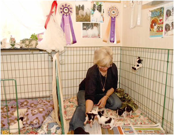 瑞典犬舍幾乎都在居家環境內培育幼犬，照片中的繁殖者將自己的臥室隔出一個區塊讓母犬和幼犬生活。 取自Pets Best少額短期保險