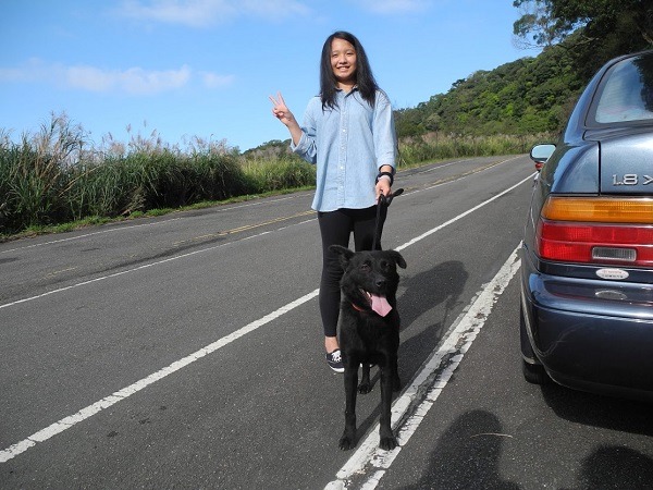 三芝動物之家沒有大眾運輸工具可到，有意前往者必須自備交通工具。新北市動保處/提供