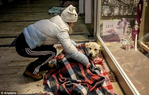 善心人士默默為流浪動物付出，讓流浪狗在寒天中感受到人類的溫暖真情。 取自dailymail.co.uk
