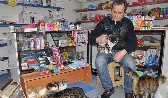 經營小文具店和咖啡館的Selçuk Bayal，乾脆把商店轉成臨時收容所，安置數十隻浪貓。  取自thedodo.com