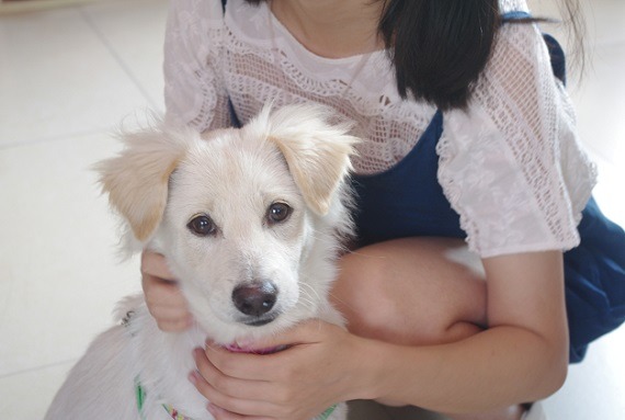 來自新加坡的Jane,9年來在上海為很多狗貓找到家。 無糖媽/攝