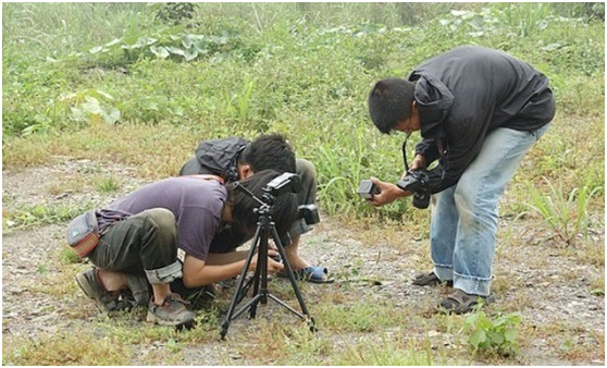 與夥伴們一個又一個全神貫注、瘋狂找蛇的日子;一次次舉著相機、專注細節的快門… 找蛇就像「莫非定律」,就算天氣、時間都對了,但越想要找的蛇,越不會出現。 游崇瑋提供