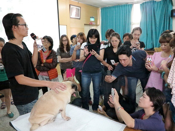 智豪講師不厭其煩傳授寵物攝影基本功。     蕭士塔/攝 