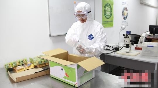 裝了7條活體寵物蛇的中華郵政便利箱，竟然安全抵達上海。 截圖自on.cc東網