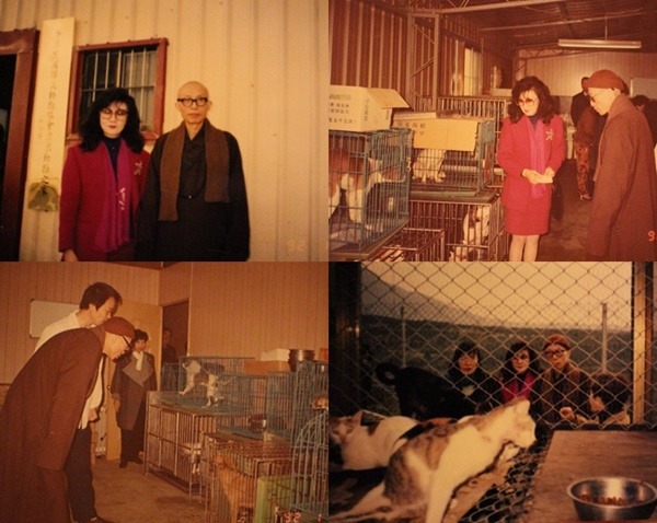1992年，聖嚴法師因為讚許流浪動物之家的救援工作，親自到訪和捐款，留下這些珍貴畫面。 李娉婷/翻攝