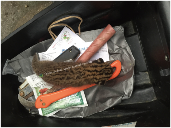 在等待特生中心人員時，農友暫將小石虎置放於機車置物箱內確保安全。  特生中心/提供