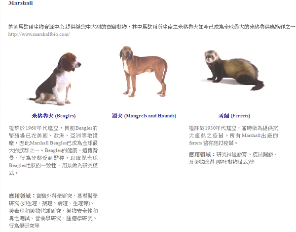 實驗米格魯被用在那些試驗情境中，台灣代理商這家生技公司的官網上有詳細說明。 網路截圖