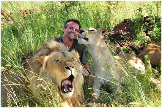 「獅語者（the lion whisperer）」的封號可不是浪得，但有批評者嚴苛指出，過去有「熊語者」喪命於熊口之下。取自thedodo.com