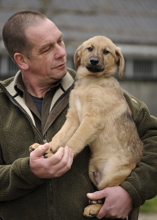 荷蘭全國動物保護協會資深調查員偉伯斯。 偉伯斯/提供