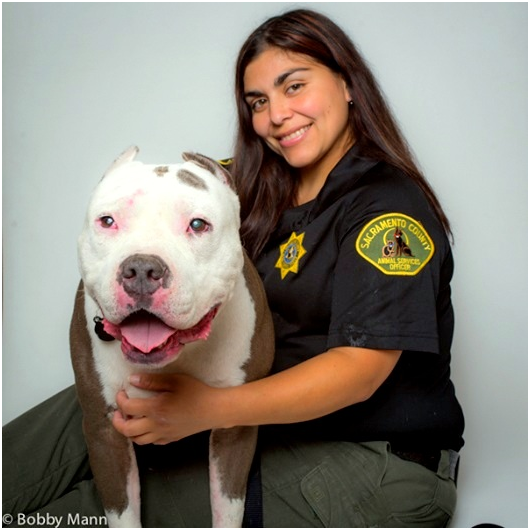 經過治療,布巴雖然宣告一眼失明,但大致已恢復健康。 取自網路