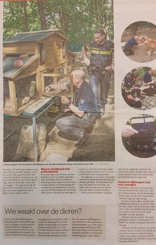 這份新聞剪報顯示了偉伯斯和動物警察佛高爾（Jan J. Verkuijl）常相互合作，拯救水深火熱的毛孩子。偉伯斯/提供