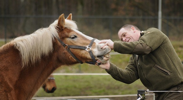 毛孩子不會說話，只能仰賴人類為其發聲，爭取更好的生活。偉伯斯/提供