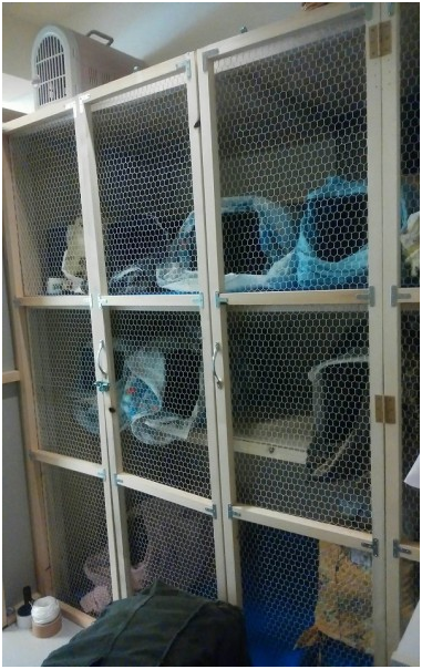  貓咪手術前後的住院棚架，由結城和美護理師親自搭建而成。 取自idea news