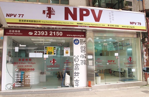 香港動物醫院喜歡聘用台灣獸醫師，香港非牟利獸醫服務協會旗下的醫院也聘用了多位台大獸醫系畢業生，守護小動物的健康。  取自NPV官網