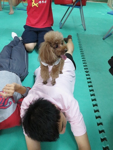  狗醫生Ruby在智青背上「按摩」，讓他們樂得開懷大笑。  蕭士塔/攝