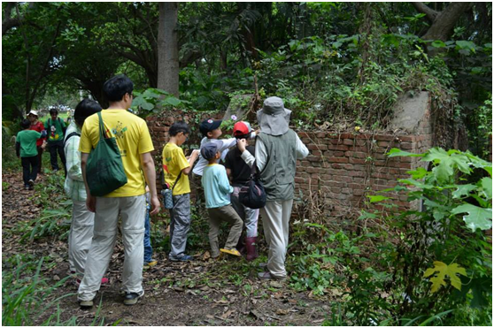 「三崁店自然生態公園」預定地防空洞附近未破壞前的原始環境。除了諸羅樹蛙，還有小雨蛙、史丹吉氏小雨蛙、澤蛙、貢德氏赤蛙、虎皮蛙及黑眶蟾蜍等蛙類共同生活。土撥鼠/提供