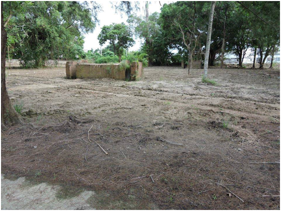 防空洞附近幾乎夷為平地。台南市長賴清德曾有對三崁店朝自然生態公園方向發展的承諾，如今要如何實現?令人難以想像。 土撥鼠/提供