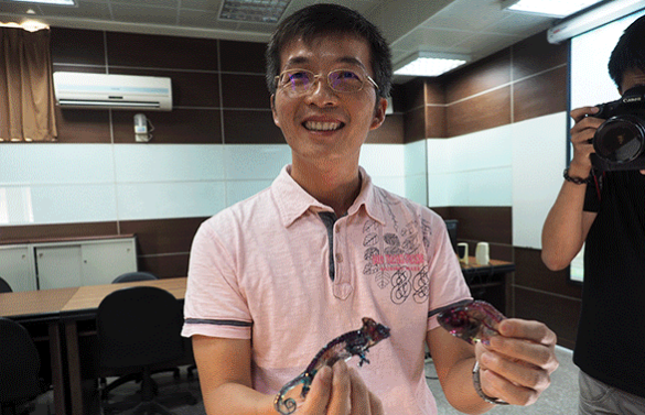 屏科大助理教授成功研發出動物標本的透明固化技術，被部分媒體譽為是水晶標本，其實最重大的意義在減少解剖實驗。 取自屏科大官網