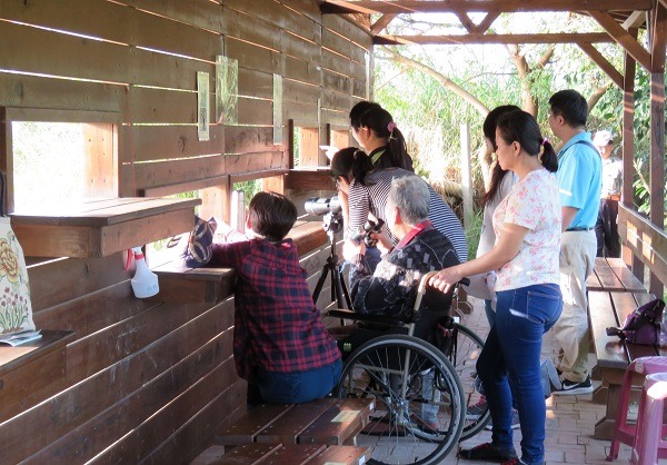 台南市水雉生態教育園區是台灣地區觀賞水雉最方便的景點。蕭士塔/攝