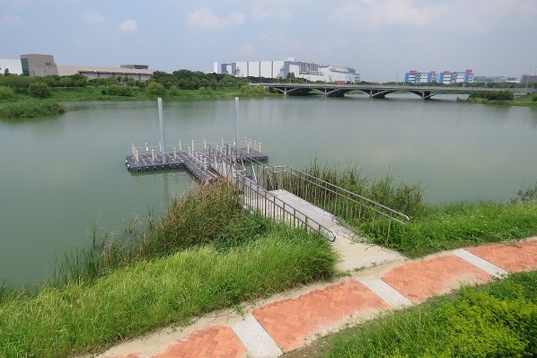 兼具防洪與景觀功能的滯洪池,也是棄養水族箱魚貝水草的場所。蕭士塔/攝
