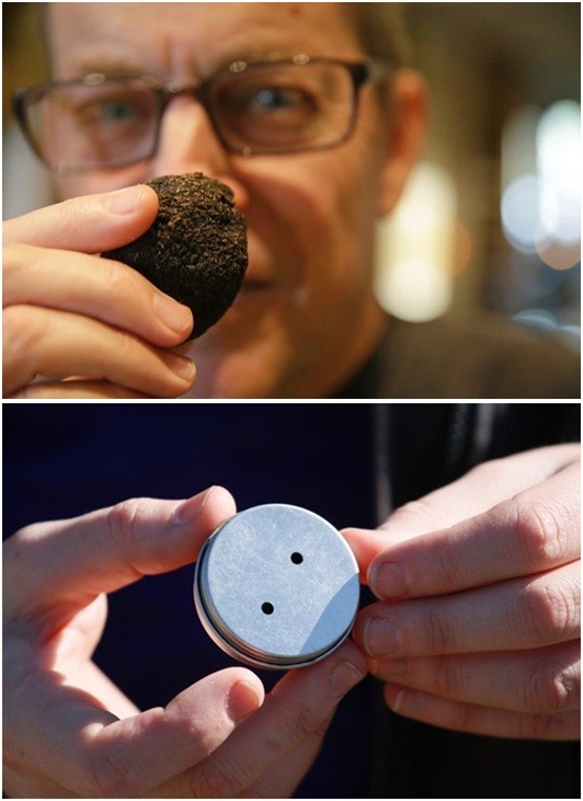 上圖為肯•弗蘭克廚師（Chef　Ken　Frank）在餐廳裡嗅聞黑松露的香氣。 下圖為訓練師阿拉納•麥基（Alana McGee）展示裡面裝了松露的盒子，這是在美國加州的松露果園中，用來訓練松露犬的工具。 取自網路