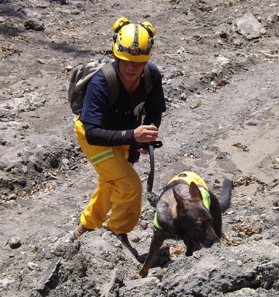 高市消防局搜救中隊小隊長袁明桂與夥伴萊麗頂著烈日高溫在廢墟中搜尋失蹤者。  丁德／攝