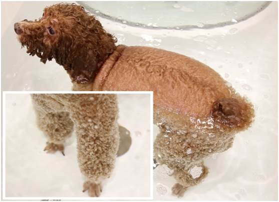 總結：碳酸泉 → 體質改善