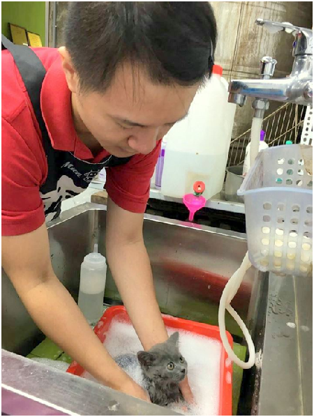 總結：次氯酸 → 除臭殺菌